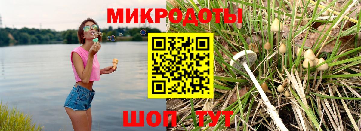 Галлюциногенные грибы мицелий  Вход с VPN  Холмск 