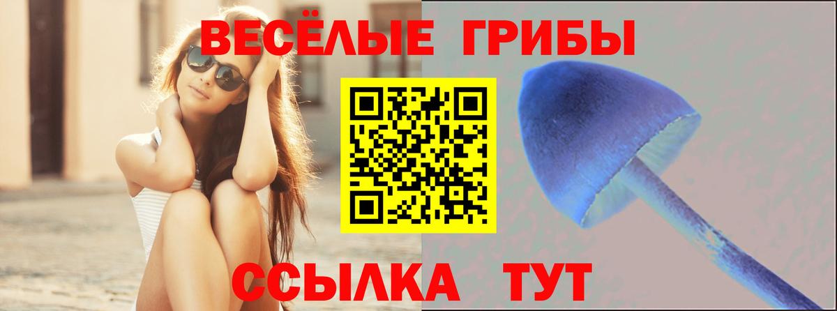 Псилоцибиновые грибы ЛСД Холмск